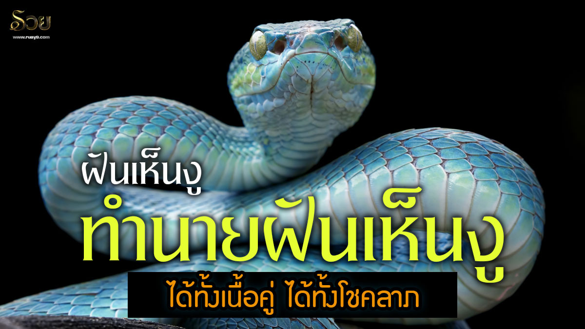 ฝันเห็นงู