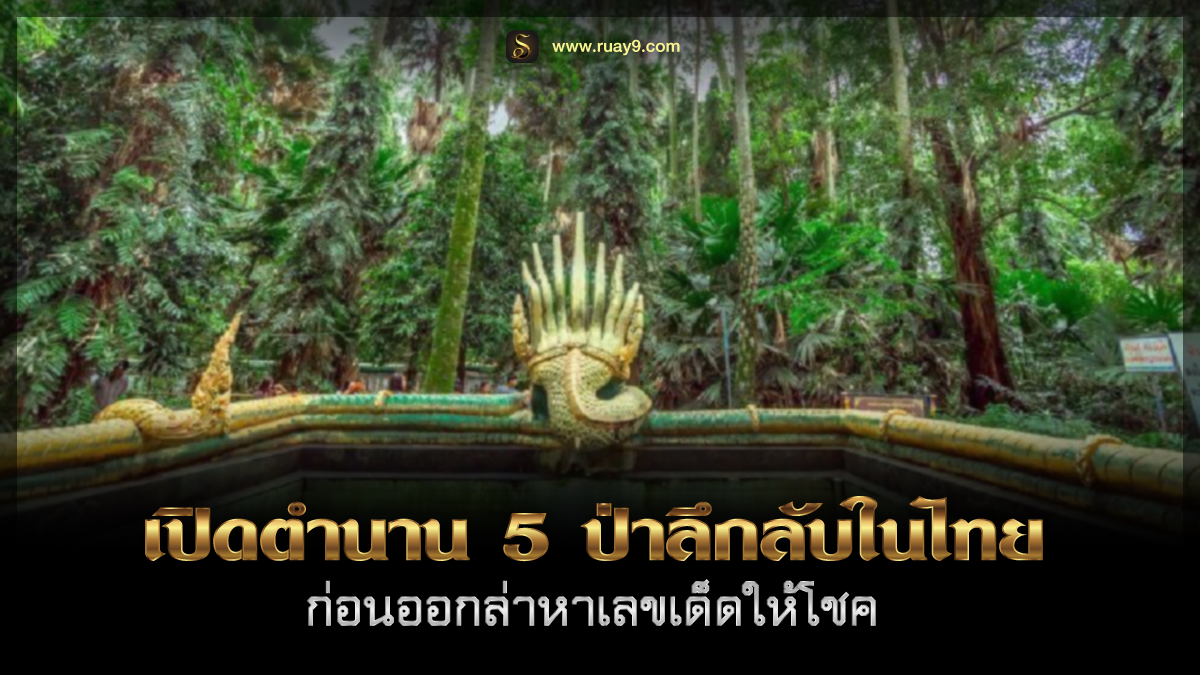 ป่าลึกลับในไทย