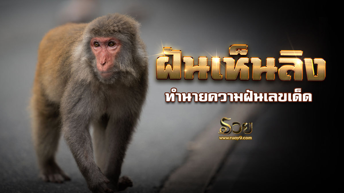 ฝันเห็นลิง