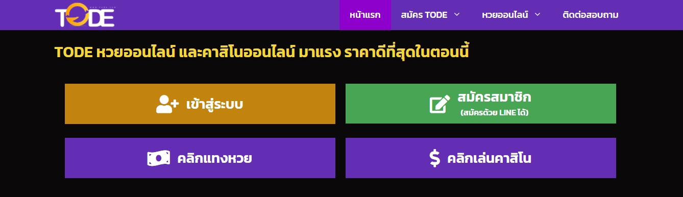 หน้าเว็บ TODE