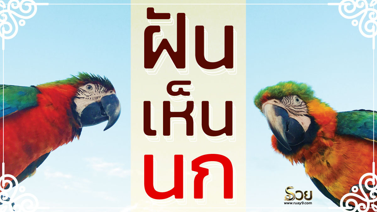 ฝันเห็นนก