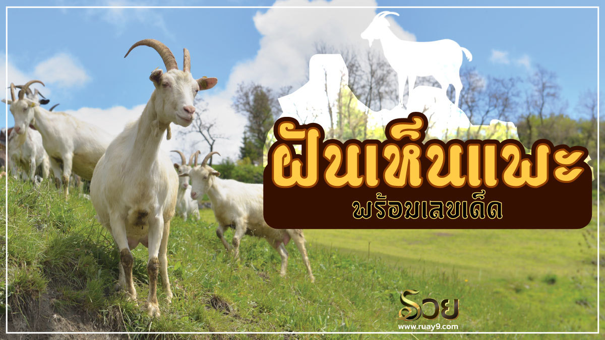 ฝันเห็นแพะ