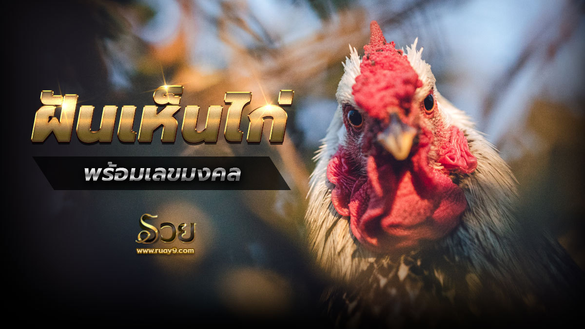 ฝันเห็นไก่