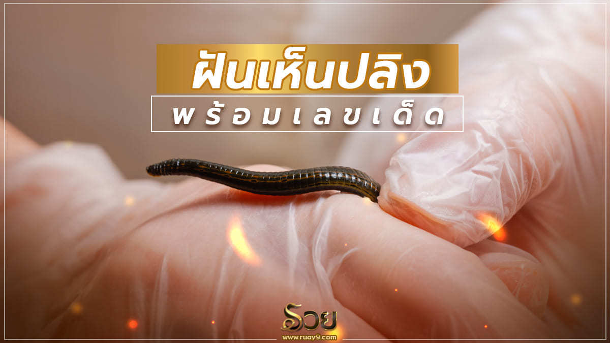 ฝันเห็นปลิง