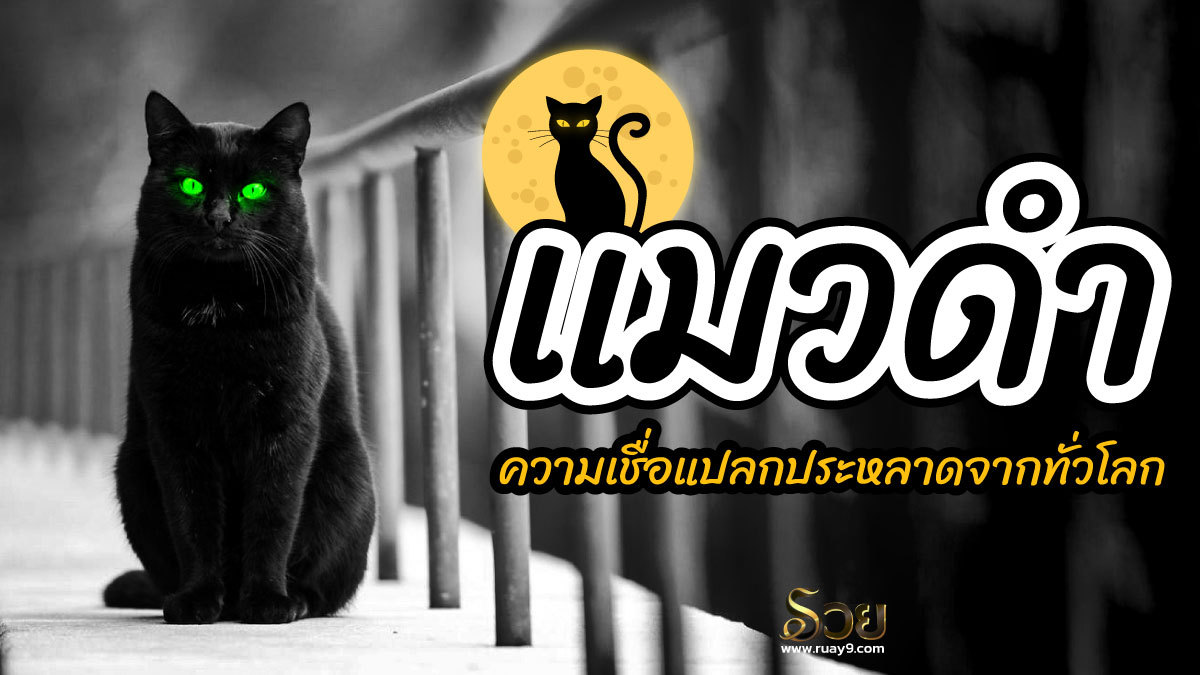 แมวดำ