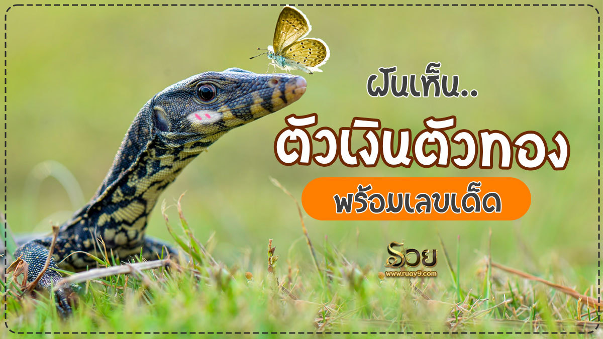 ฝันเห็นตัวเงินตัวทอง